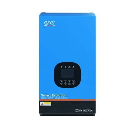 6KW 저주파 오프 그리드 인버터